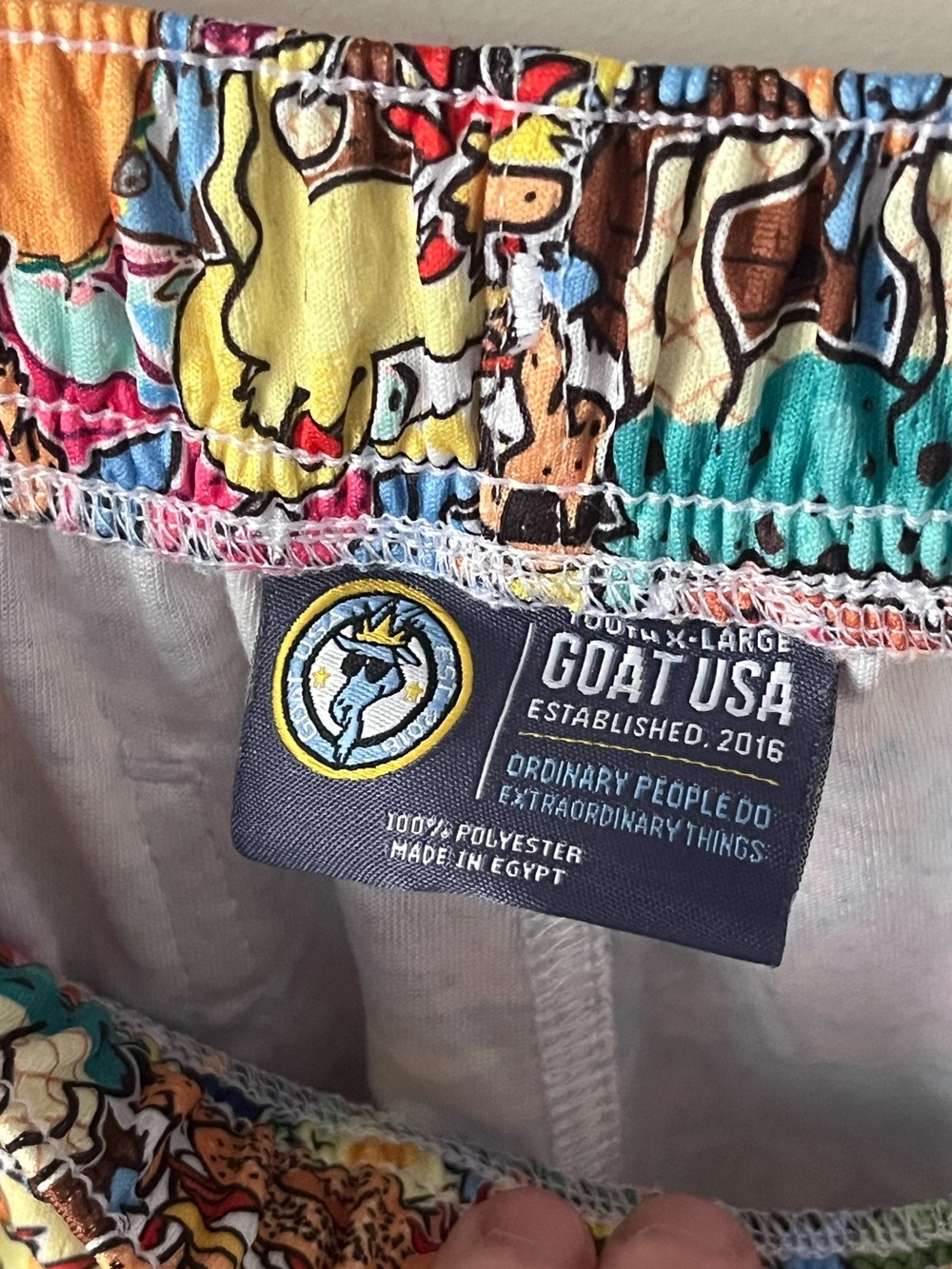 GOAT USA Food Print Mesh Athletic Shorts Boys YXL Novelty Donut Pickle Bagel - Picture 6 of 14